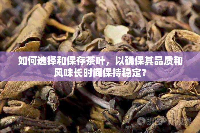 如何选择和保存茶叶，以确保其品质和风味长时间保持稳定？