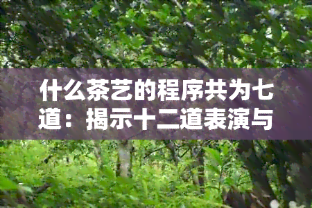 什么茶艺的程序共为七道：揭示十二道表演与十七道制茶工序的完整指南