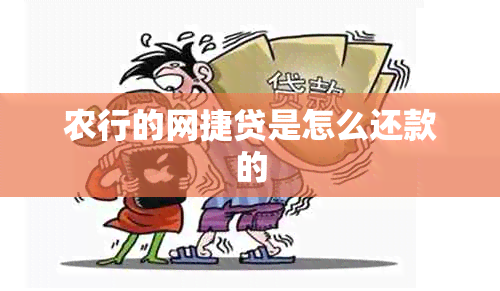 农行的网捷贷是怎么还款的