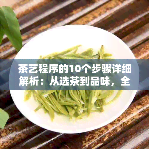 茶艺程序的10个步骤详细解析：从选茶到品味，全面掌握茶艺精髓