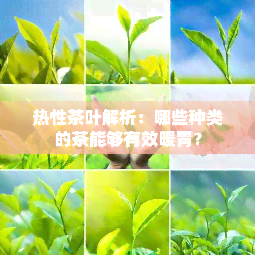 热性茶叶解析：哪些种类的茶能够有效暖胃？