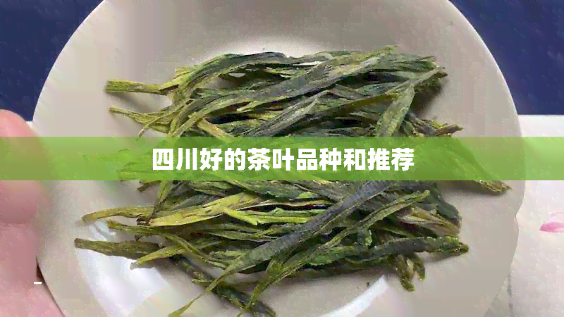 四川好的茶叶品种和推荐