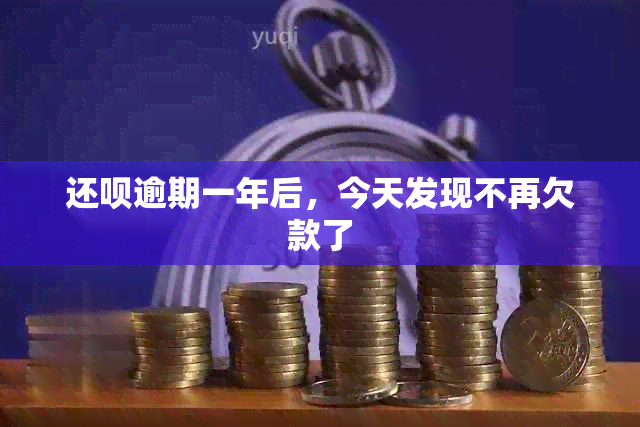 还款逾期一年后，今天发现不再欠款了