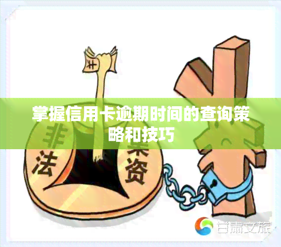 掌握信用卡逾期时间的查询策略和技巧