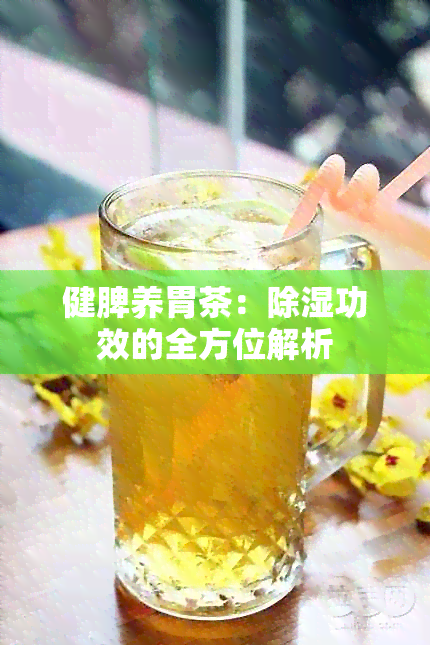 健脾养胃茶：除湿功效的全方位解析