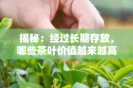 揭秘：经过长期存放，哪些茶叶价值越来越高？