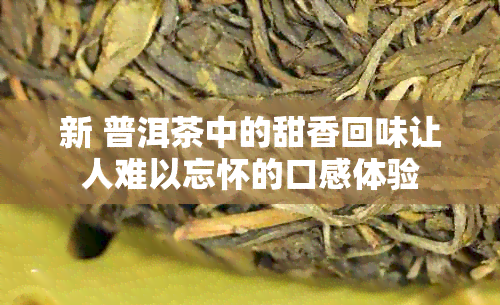 新 普洱茶中的甜香回味让人难以忘怀的口感体验