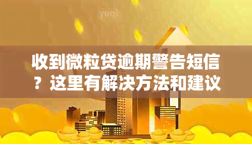 收到微粒贷逾期警告短信？这里有解决方法和建议！