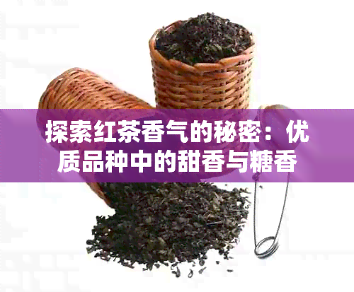 探索红茶香气的秘密：优质品种中的甜香与糖香