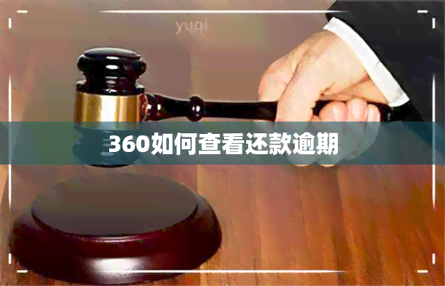 360如何查看还款逾期