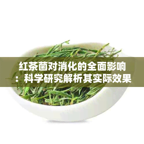 红茶菌对消化的全面影响：科学研究解析其实际效果与潜在益处