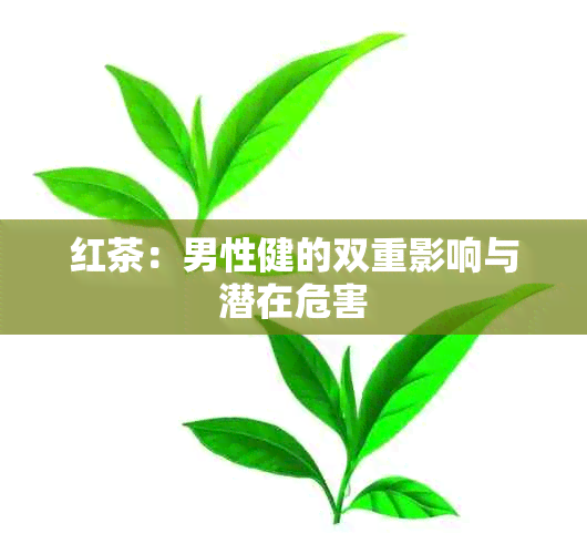 红茶：男性健的双重影响与潜在危害