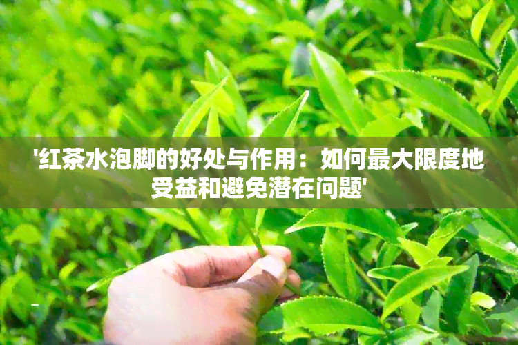 '红茶水泡脚的好处与作用：如何更大限度地受益和避免潜在问题'