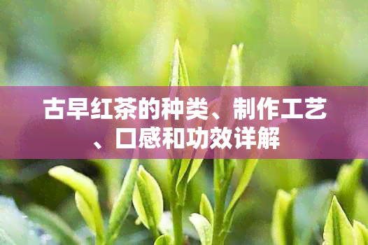 古早红茶的种类、制作工艺、口感和功效详解