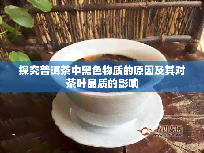 探究普洱茶中黑色物质的原因及其对茶叶品质的影响