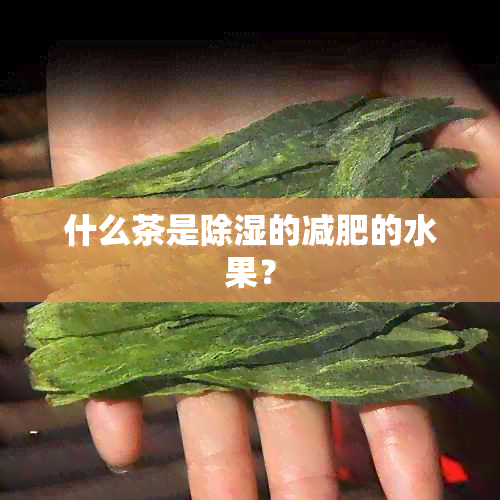 什么茶是除湿的减肥的水果？