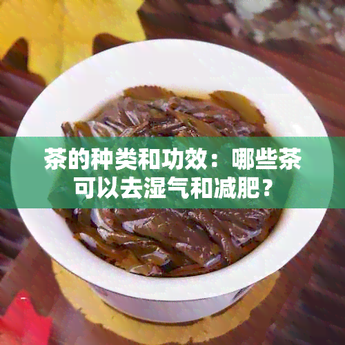 茶的种类和功效：哪些茶可以去湿气和减肥？