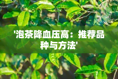 '泡茶降血压高：推荐品种与方法'