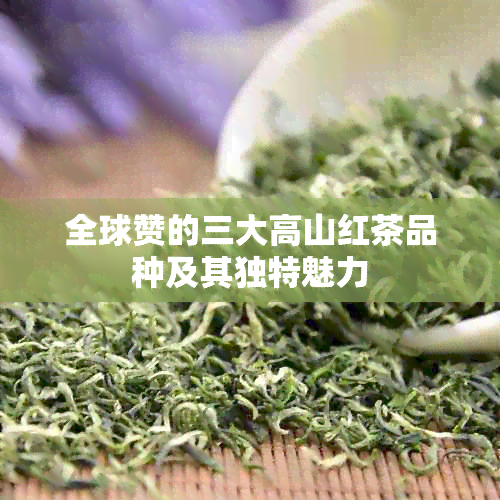 全球赞的三大高山红茶品种及其独特魅力