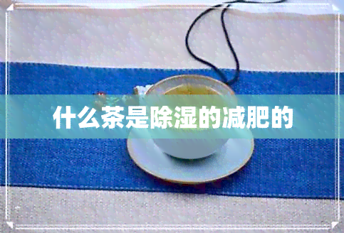 什么茶是除湿的减肥的