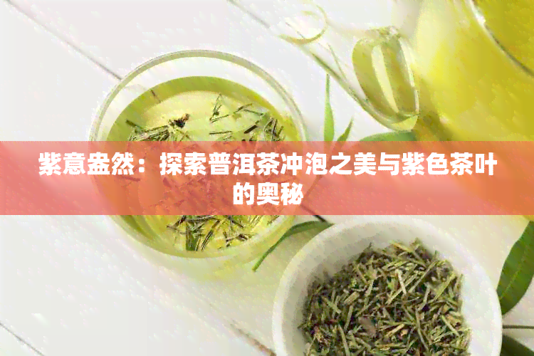 紫意盎然：探索普洱茶冲泡之美与紫色茶叶的奥秘