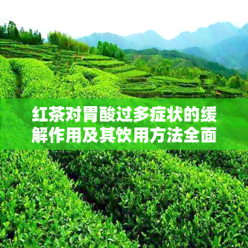 红茶对胃酸过多症状的缓解作用及其饮用方法全面解析