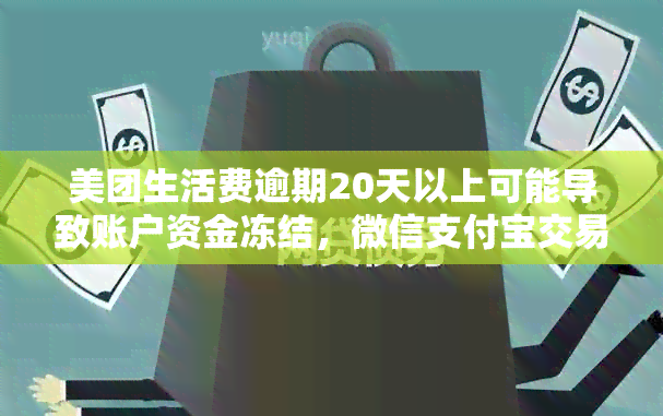 美团生活费逾期20天以上可能导致账户资金冻结，微信支付宝交易受限