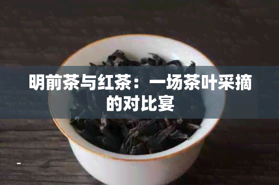 明前茶与红茶：一场茶叶采摘的对比宴