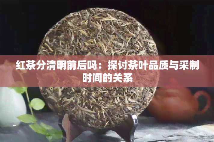 红茶分清明前后吗：探讨茶叶品质与采制时间的关系