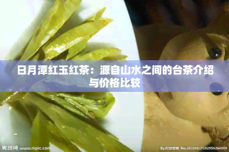 日月潭红玉红茶：源自山水之间的台茶介绍与价格比较