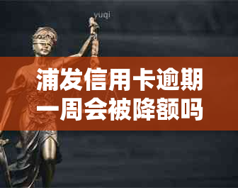 浦发信用卡逾期一周会被降额吗？2021年新法规解析及处理建议