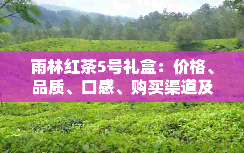 雨林红茶5号礼盒：价格、品质、口感、购买渠道及送礼建议全方位解析