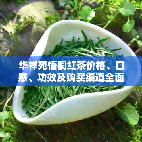 华祥苑悟桐红茶价格、口感、功效及购买渠道全面解析