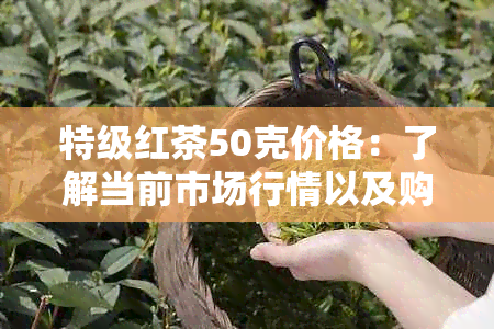 特级红茶50克价格：了解当前市场行情以及购买建议