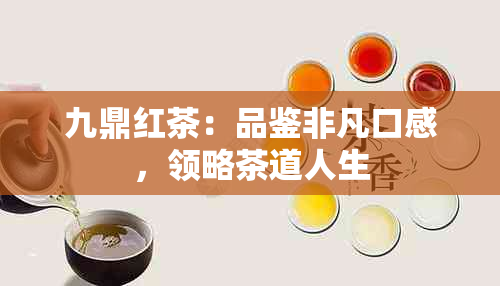 九鼎红茶：品鉴非凡口感，领略茶道人生