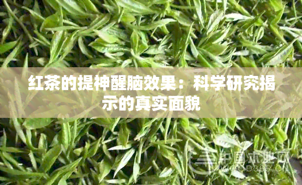 红茶的提神醒脑效果：科学研究揭示的真实面貌