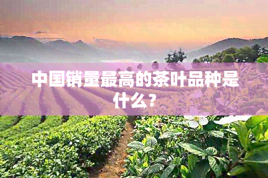 中国销量更高的茶叶品种是什么？