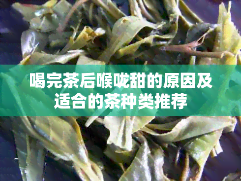 喝完茶后喉咙甜的原因及适合的茶种类推荐