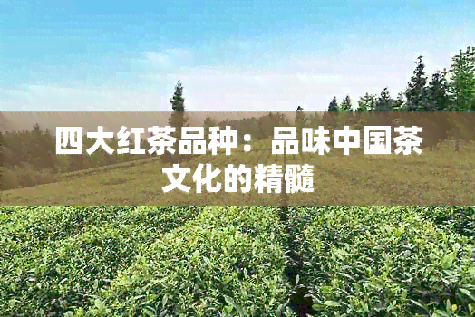 四大红茶品种：品味中国茶文化的精髓