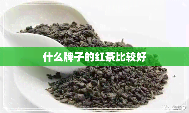 什么牌子的红茶比较好