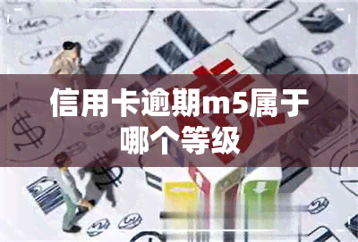 信用卡逾期m5属于哪个等级