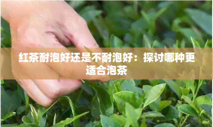 红茶耐泡好还是不耐泡好：探讨哪种更适合泡茶