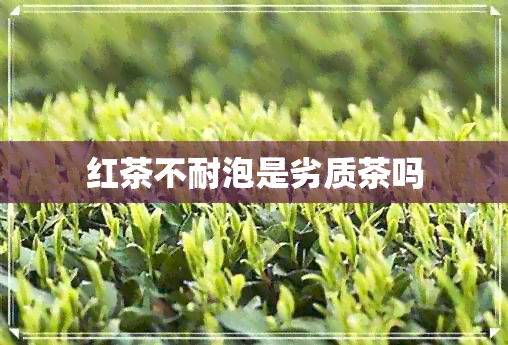 红茶不耐泡是劣质茶吗