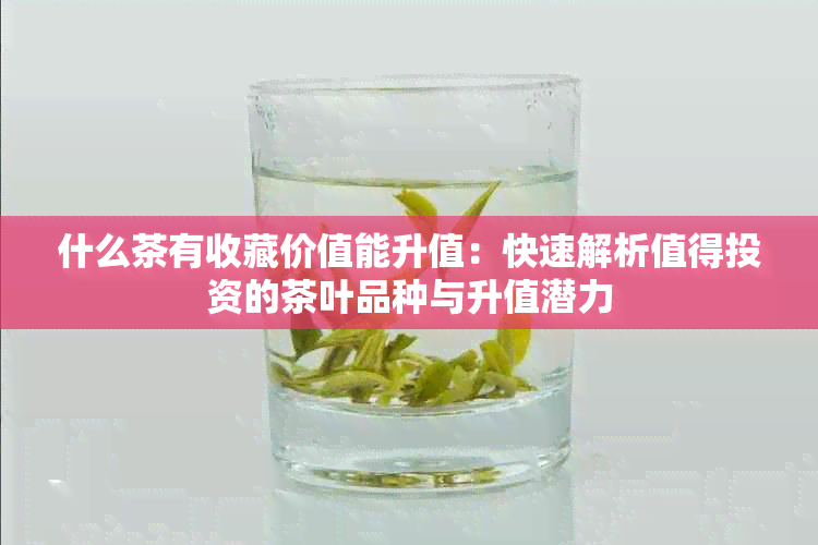 什么茶有收藏价值能升值：快速解析值得投资的茶叶品种与升值潜力