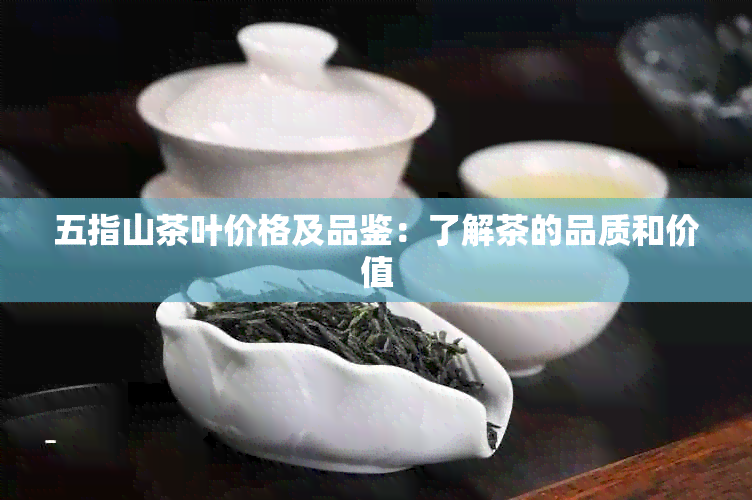 五指山茶叶价格及品鉴：了解茶的品质和价值