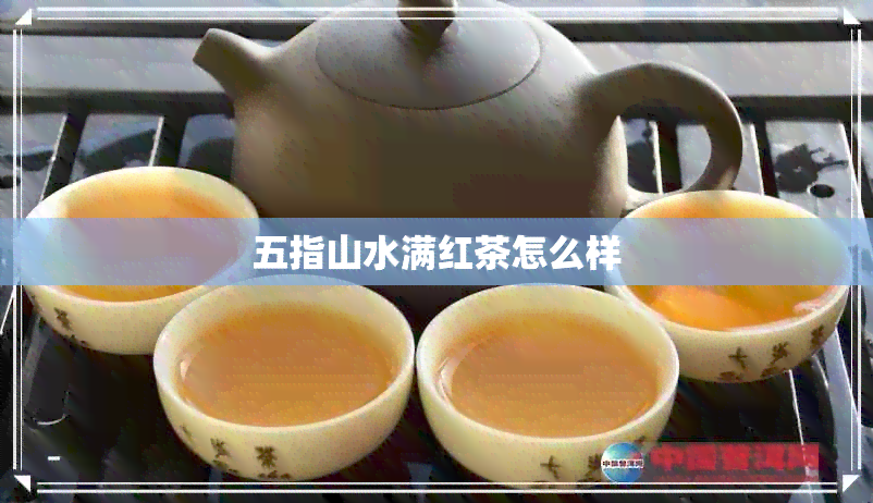 五指山水满红茶怎么样