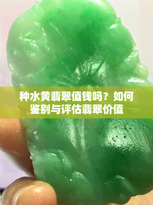 种水黄翡翠值钱吗？如何鉴别与评估翡翠价值