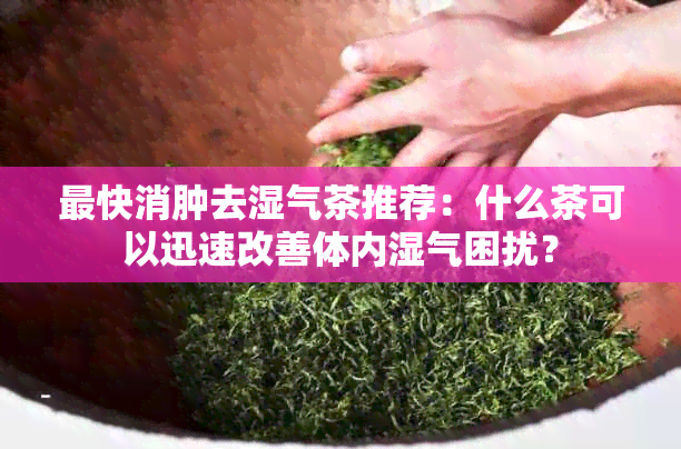 最快消肿去湿气茶推荐：什么茶可以迅速改善体内湿气困扰？