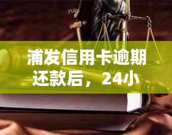 浦发信用卡逾期还款后，24小时内是否能解冻？了解更低还款额度和解封时间