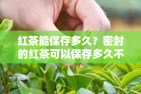 红茶能保存多久？密封的红茶可以保存多久不坏？